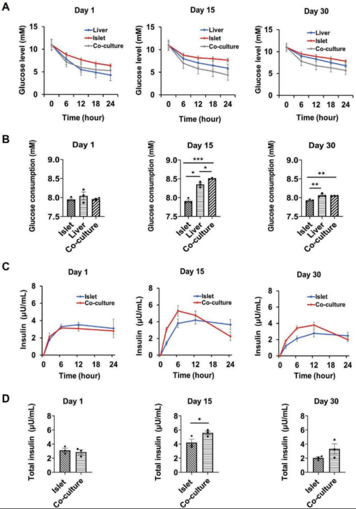国产福利一区二区三区在线视频