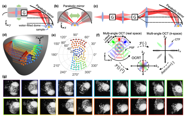 国产福利一区二区三区在线视频