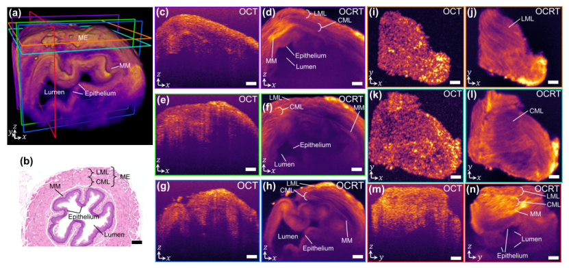国产福利一区二区三区在线视频