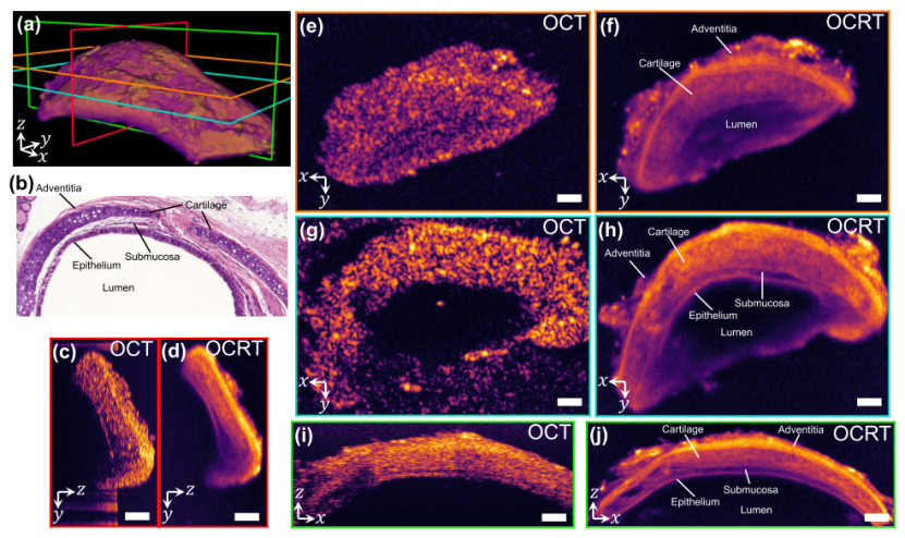 国产福利一区二区三区在线视频