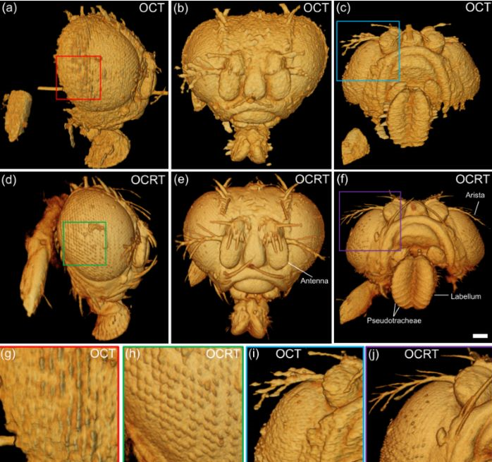 国产福利一区二区三区在线视频