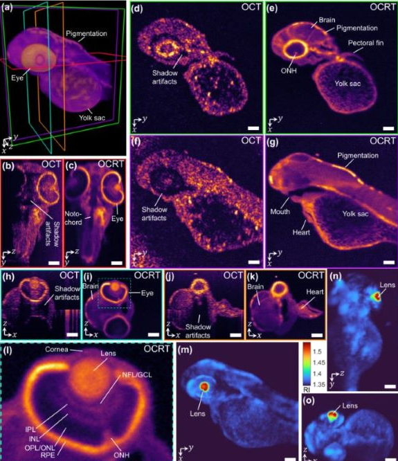 国产福利一区二区三区在线视频
