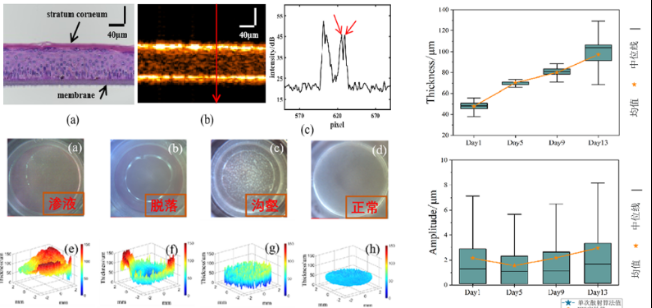 国产福利一区二区三区在线视频