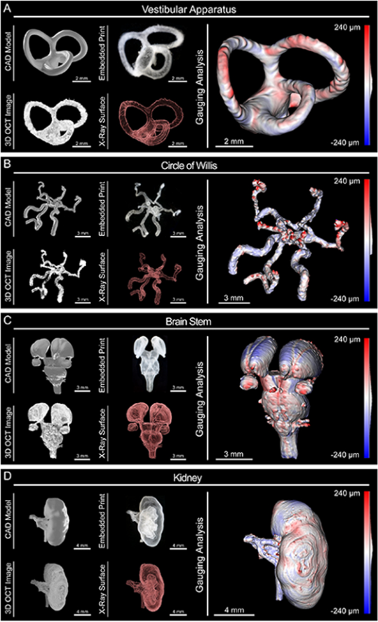 国产福利一区二区三区在线视频