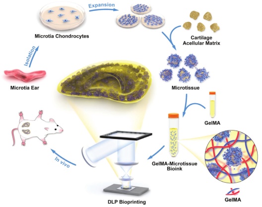 国产福利一区二区三区在线视频