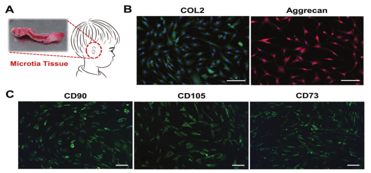国产福利一区二区三区在线视频