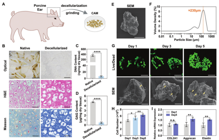 国产福利一区二区三区在线视频