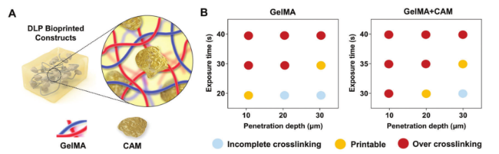 国产福利一区二区三区在线视频