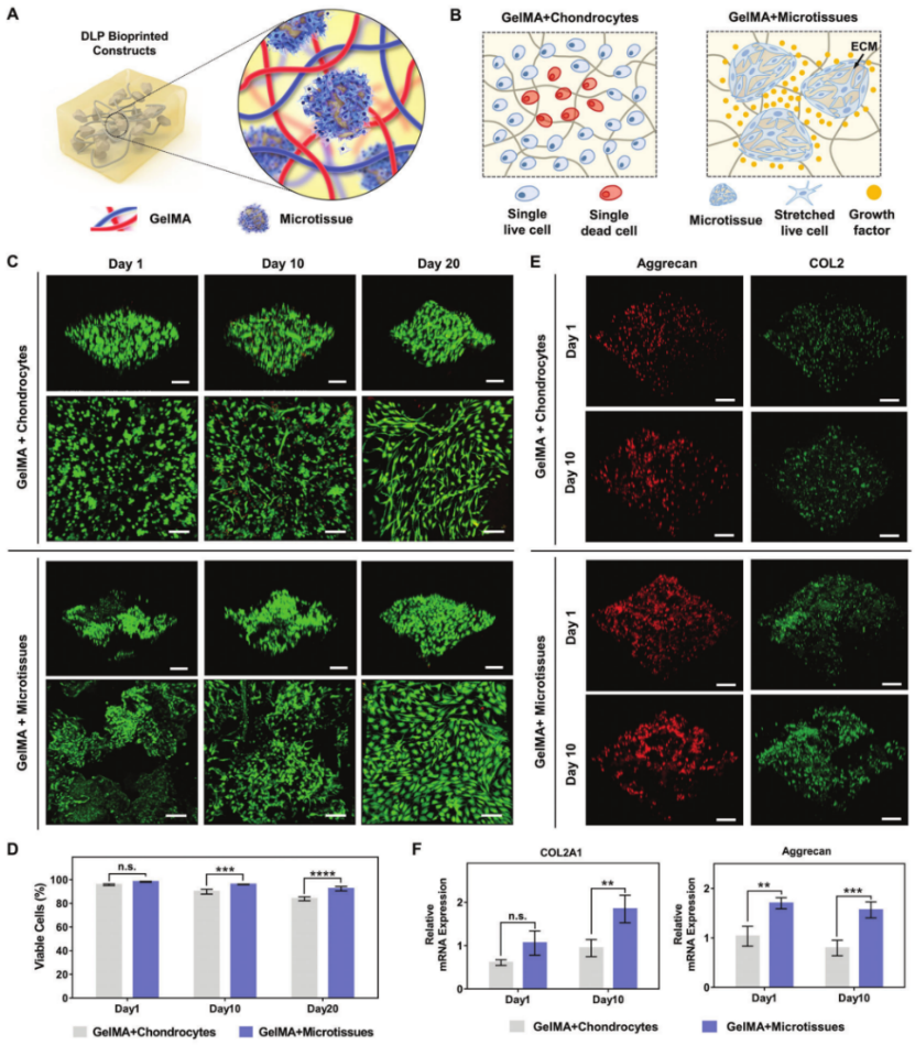 国产福利一区二区三区在线视频