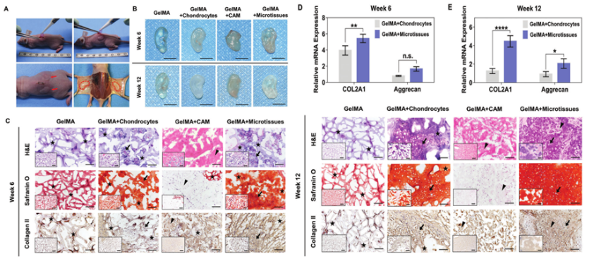 国产福利一区二区三区在线视频