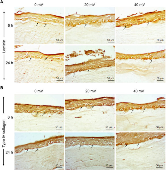 国产福利一区二区三区在线视频