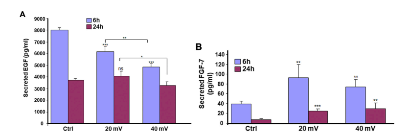 国产福利一区二区三区在线视频