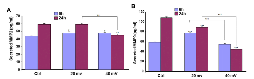 国产福利一区二区三区在线视频