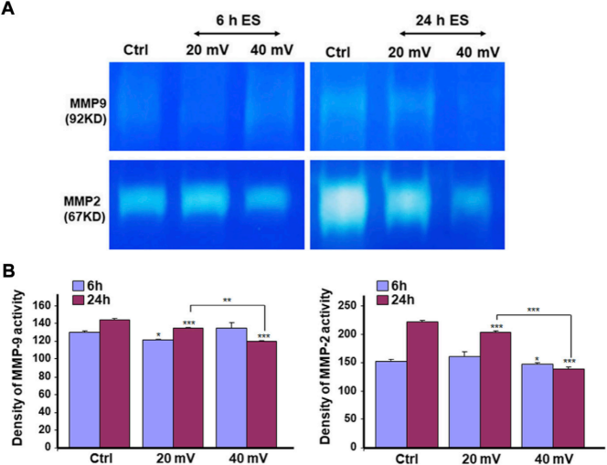 国产福利一区二区三区在线视频