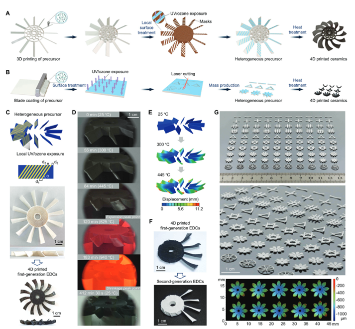 国产福利一区二区三区在线视频