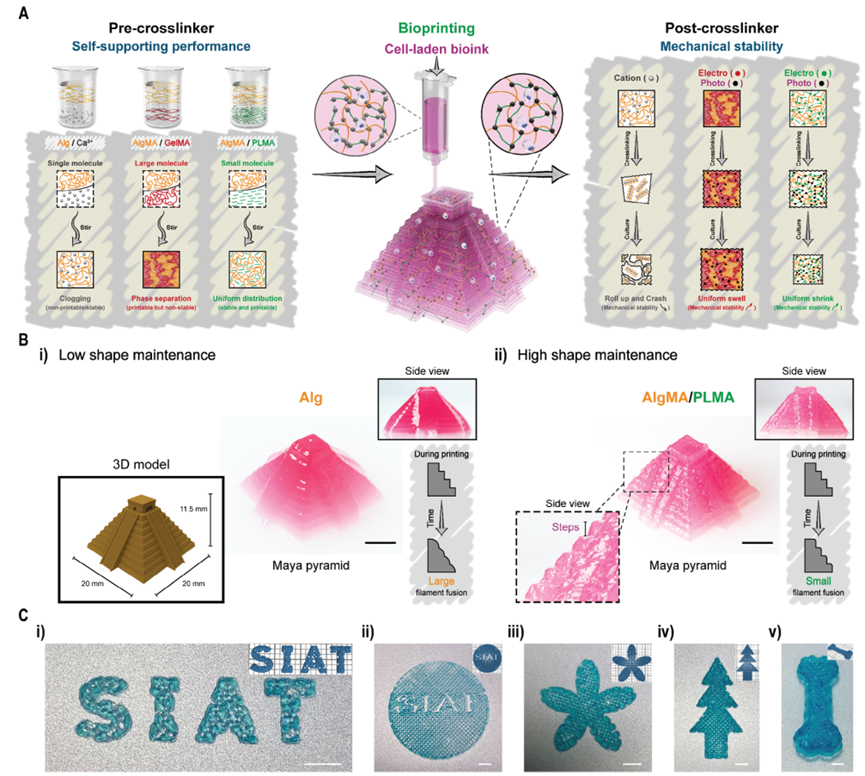 国产福利一区二区三区在线视频