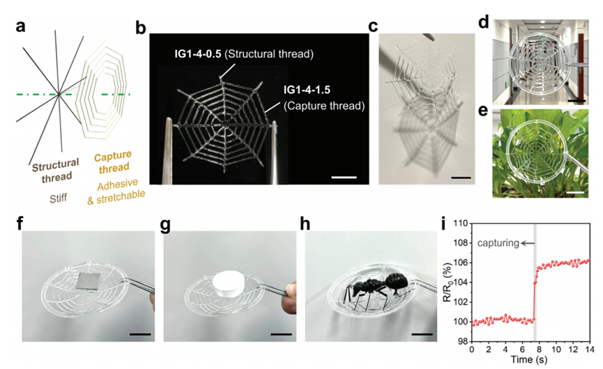 国产福利一区二区三区在线视频