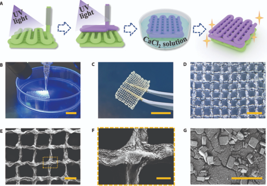 国产福利一区二区三区在线视频