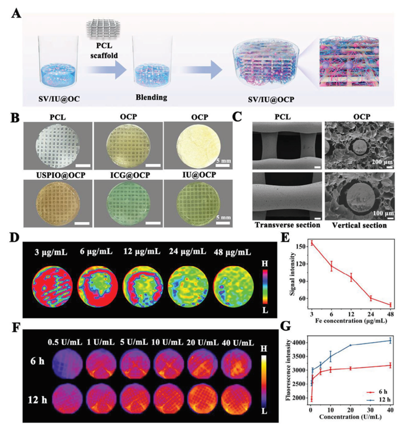 国产福利一区二区三区在线视频