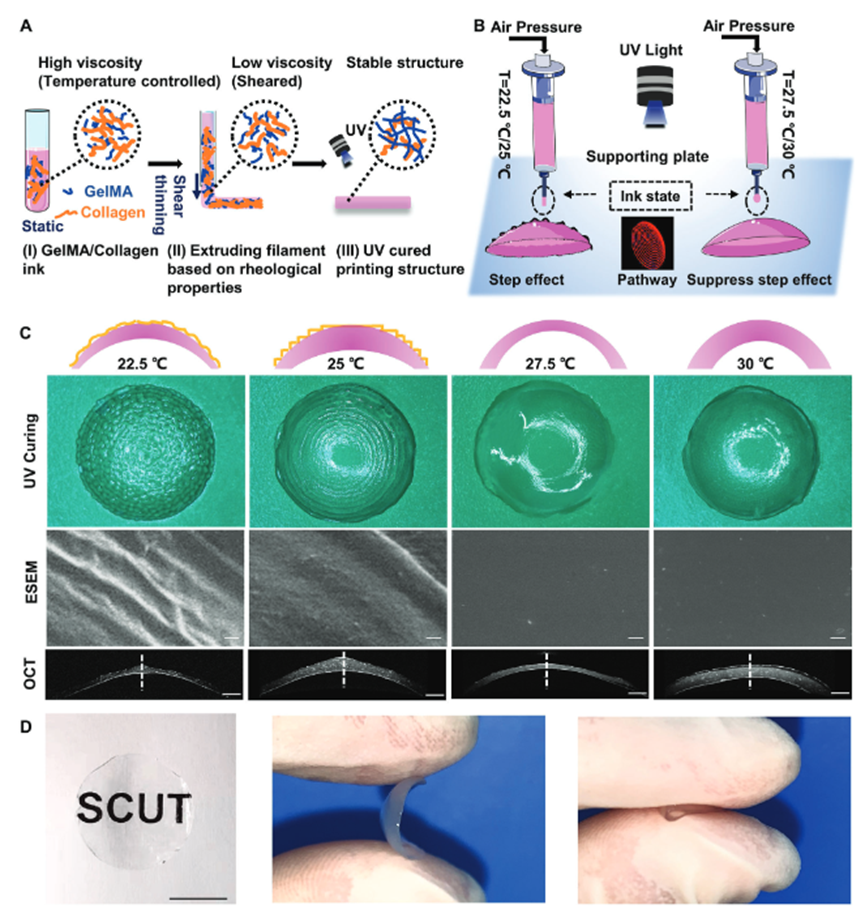 国产福利一区二区三区在线视频
