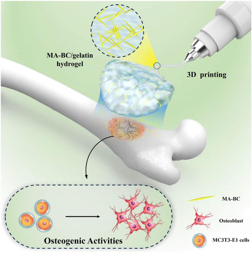 国产福利一区二区三区在线视频