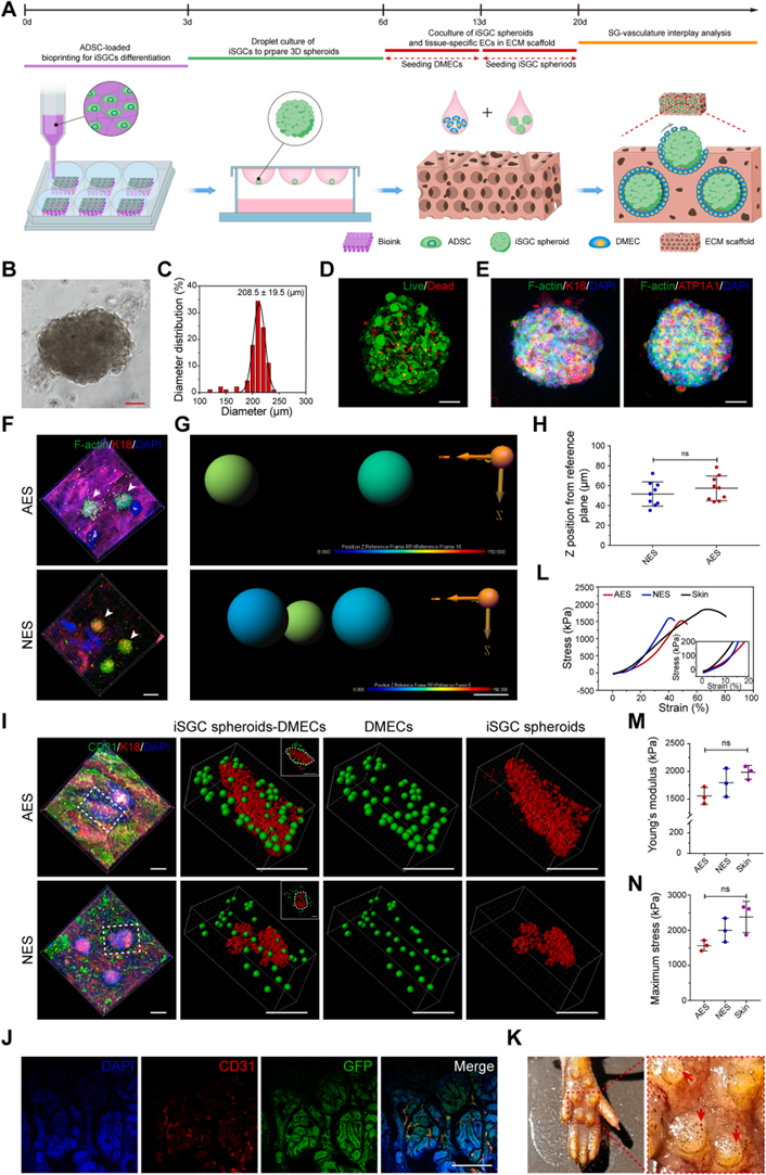 国产福利一区二区三区在线视频