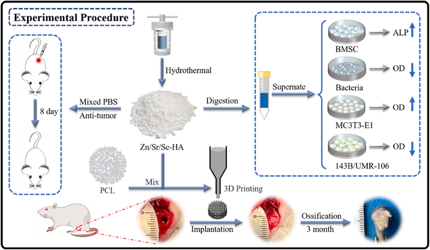 国产福利一区二区三区在线视频