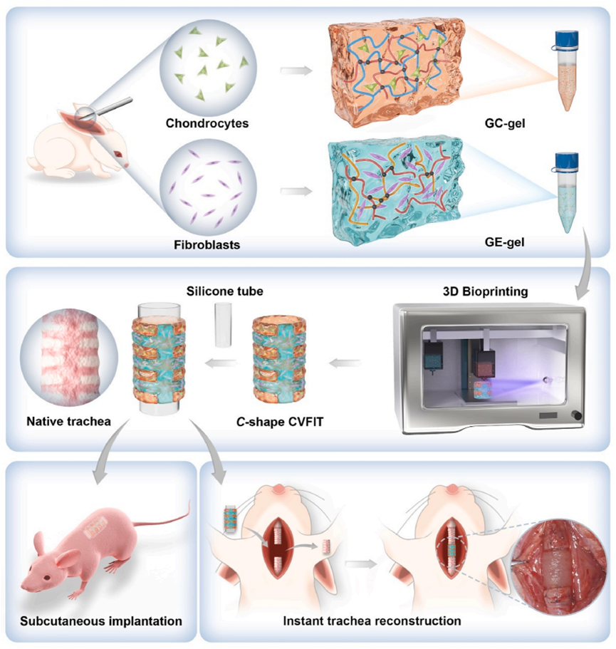 国产福利一区二区三区在线视频