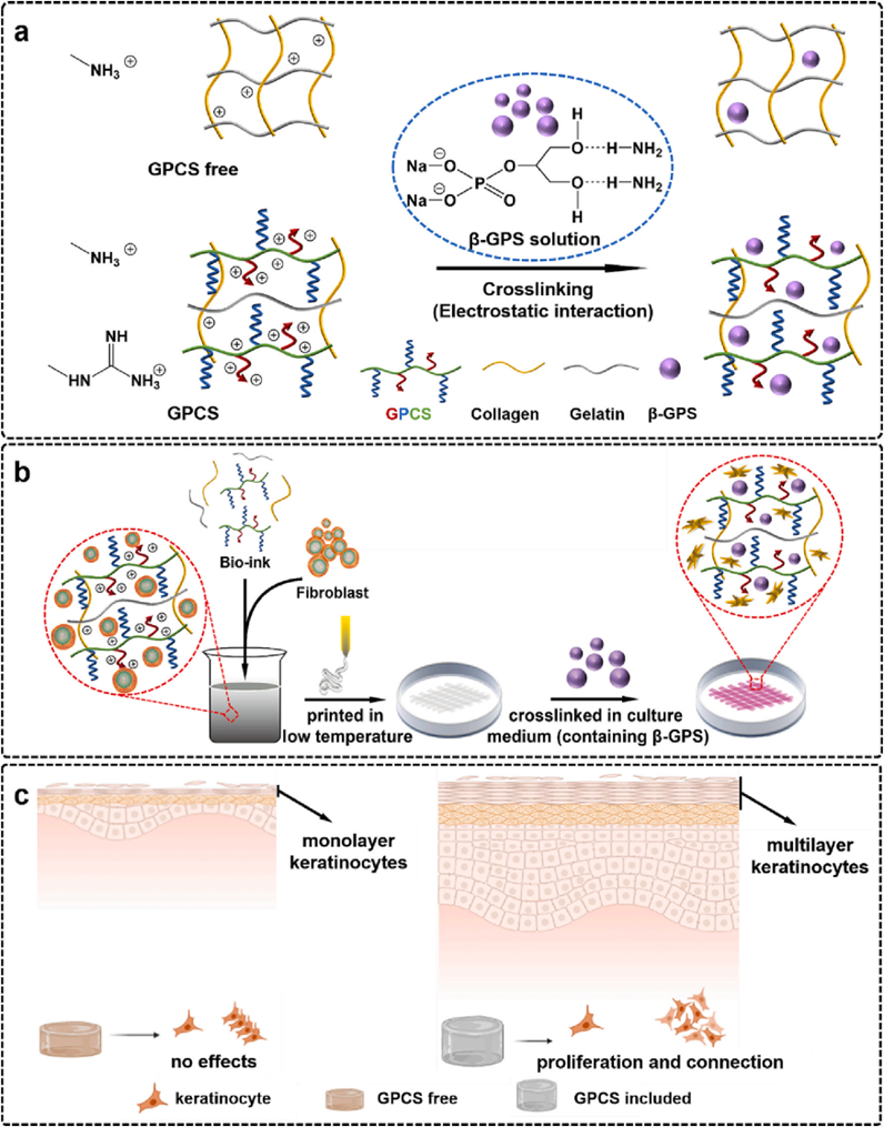 国产福利一区二区三区在线视频