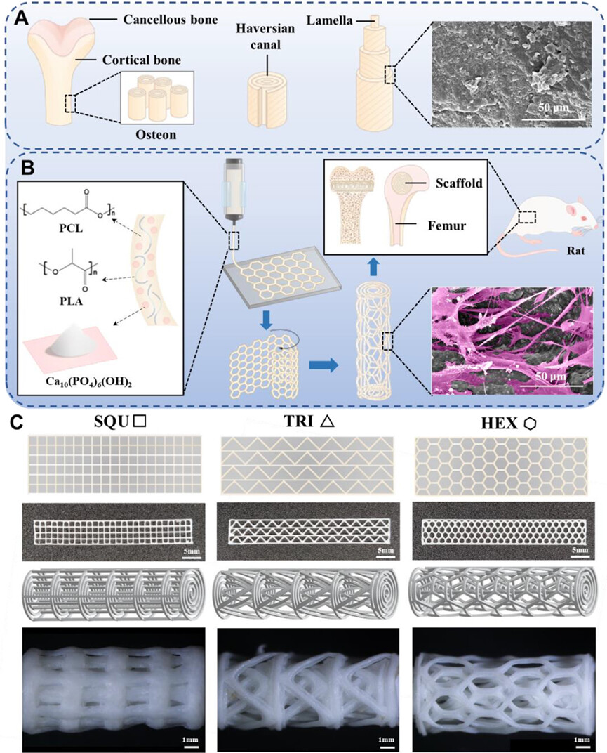 国产福利一区二区三区在线视频