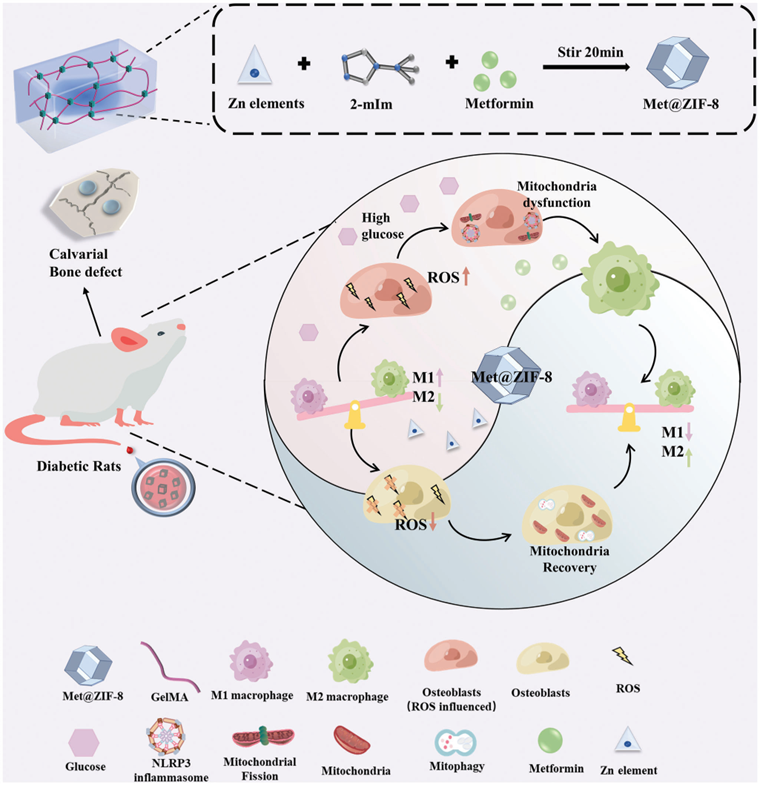 国产福利一区二区三区在线视频