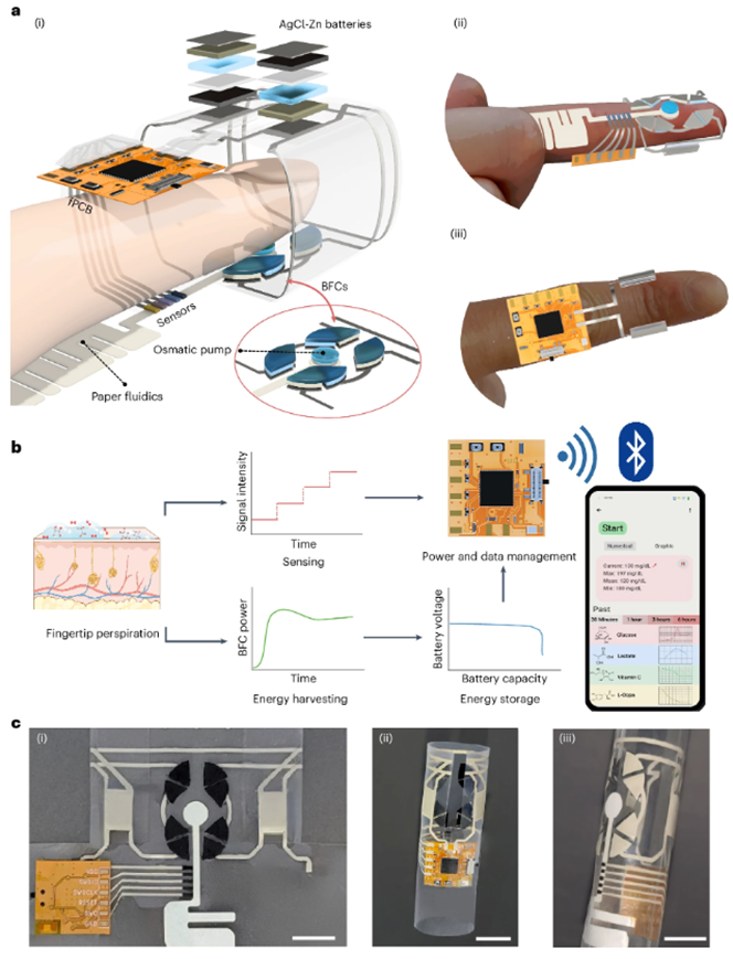 国产福利一区二区三区在线视频