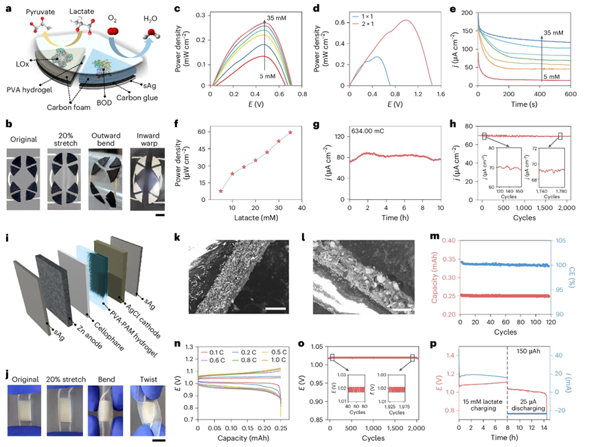 国产福利一区二区三区在线视频
