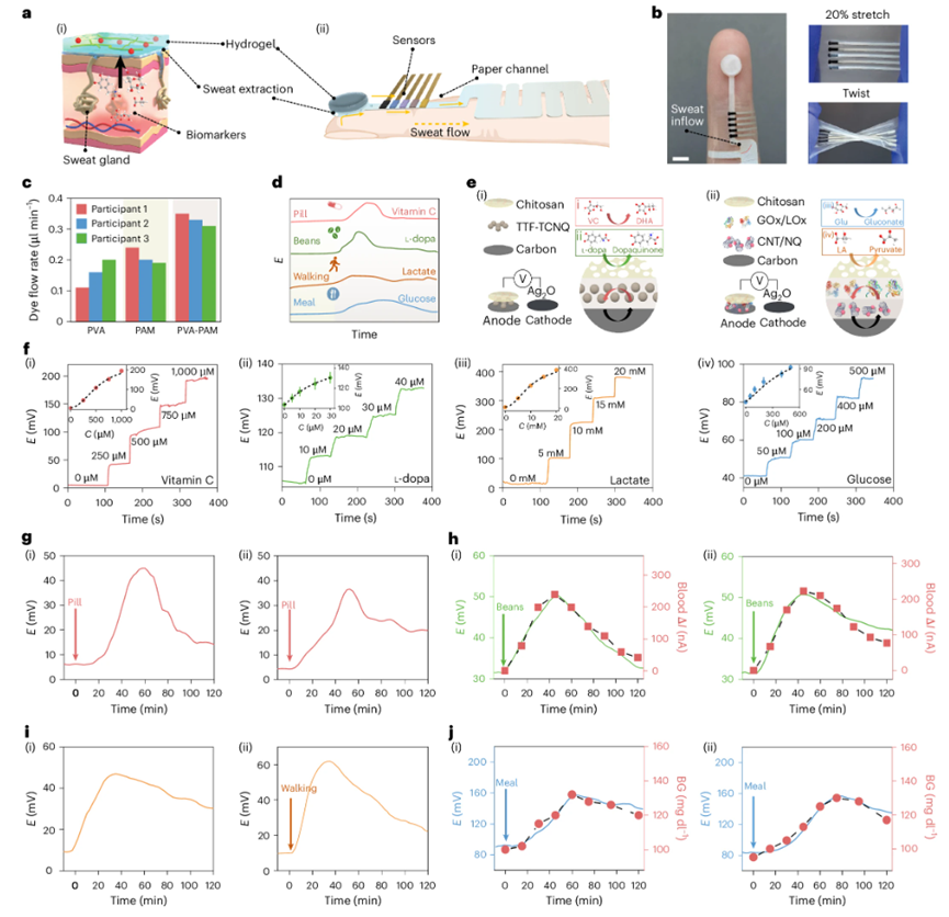 国产福利一区二区三区在线视频