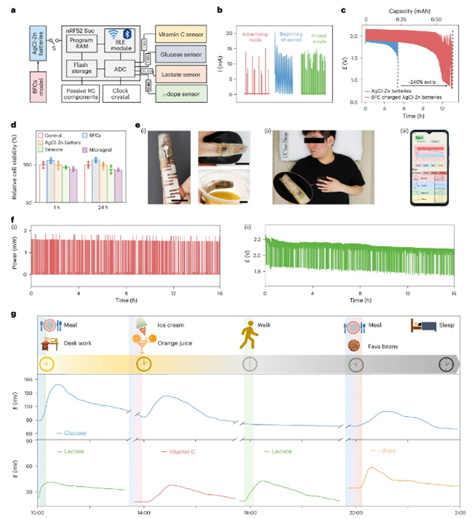 国产福利一区二区三区在线视频