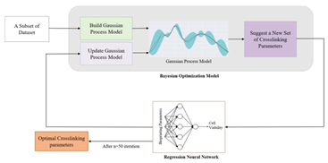 国产福利一区二区三区在线视频