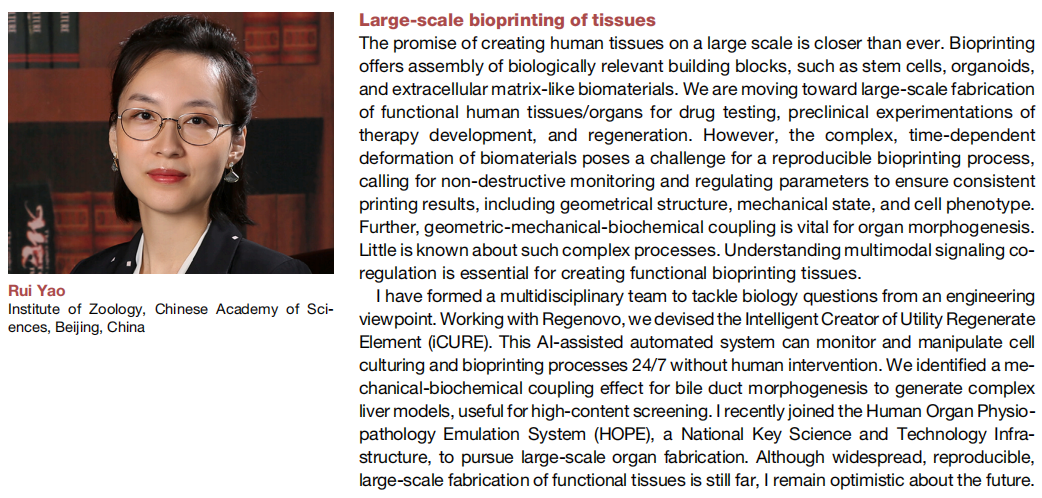 国产福利一区二区三区在线视频