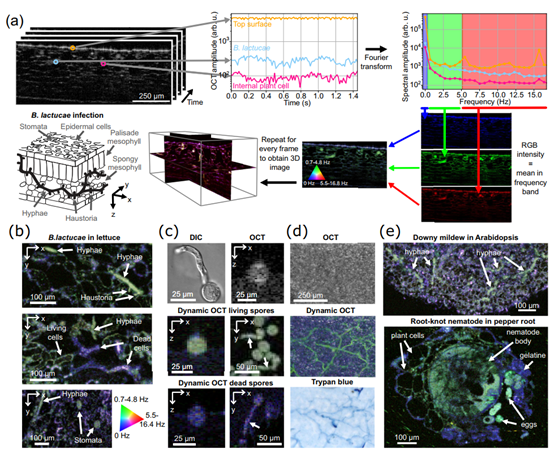 国产福利一区二区三区在线视频