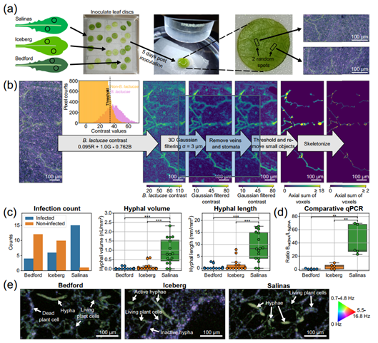 国产福利一区二区三区在线视频