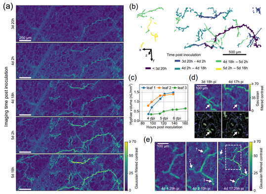 国产福利一区二区三区在线视频