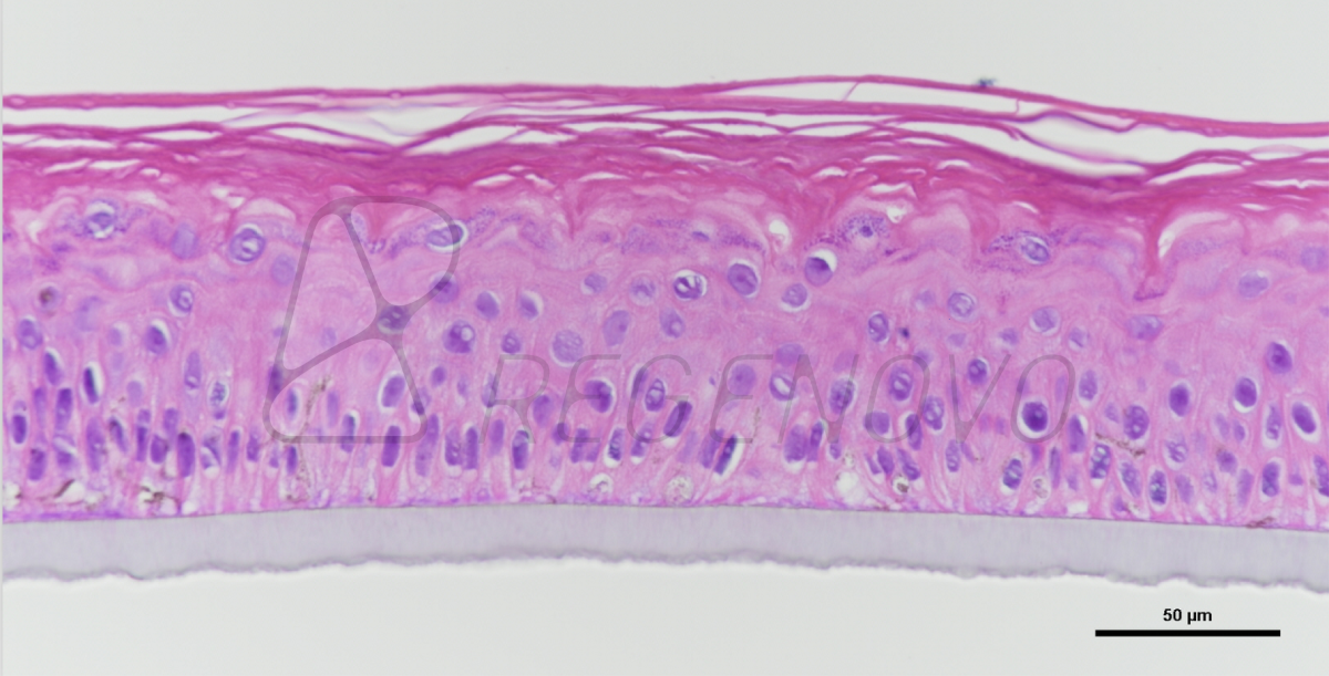 国产福利一区二区三区在线视频