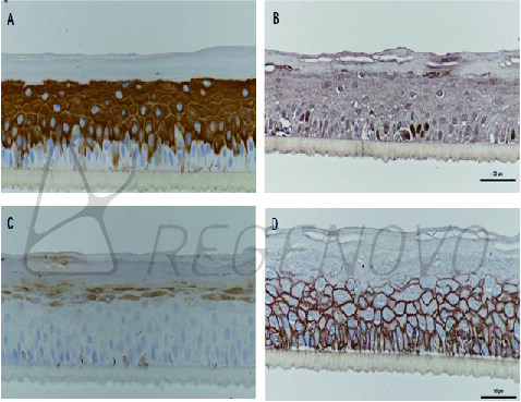 国产福利一区二区三区在线视频
