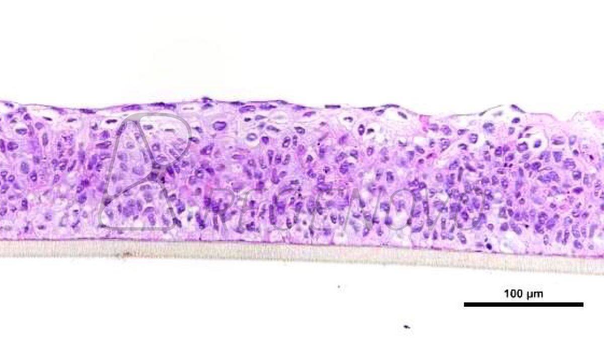 国产福利一区二区三区在线视频